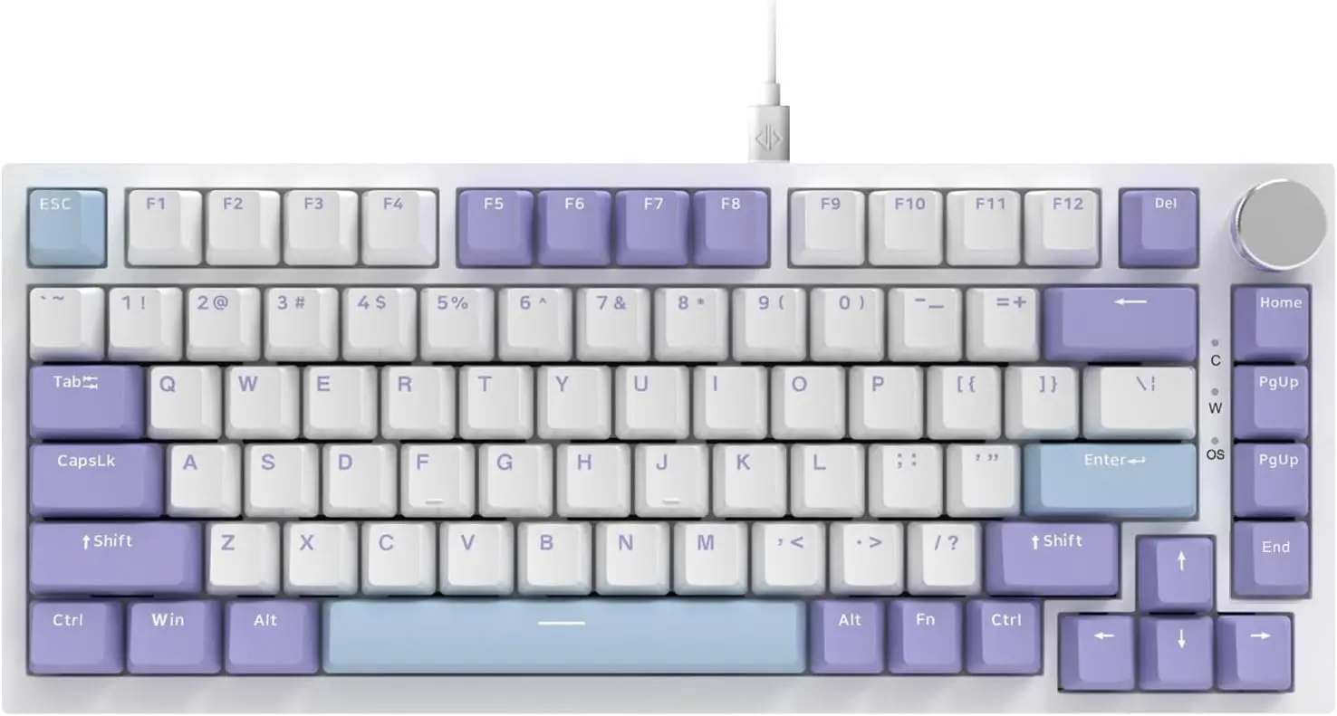 AJAZZ AK820 75% Wired Gasket Mechanical Keyboard — Purple & Blue